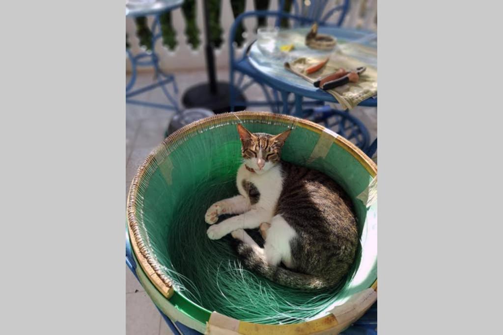 Im Herzen Von Koroni Buitenkant foto